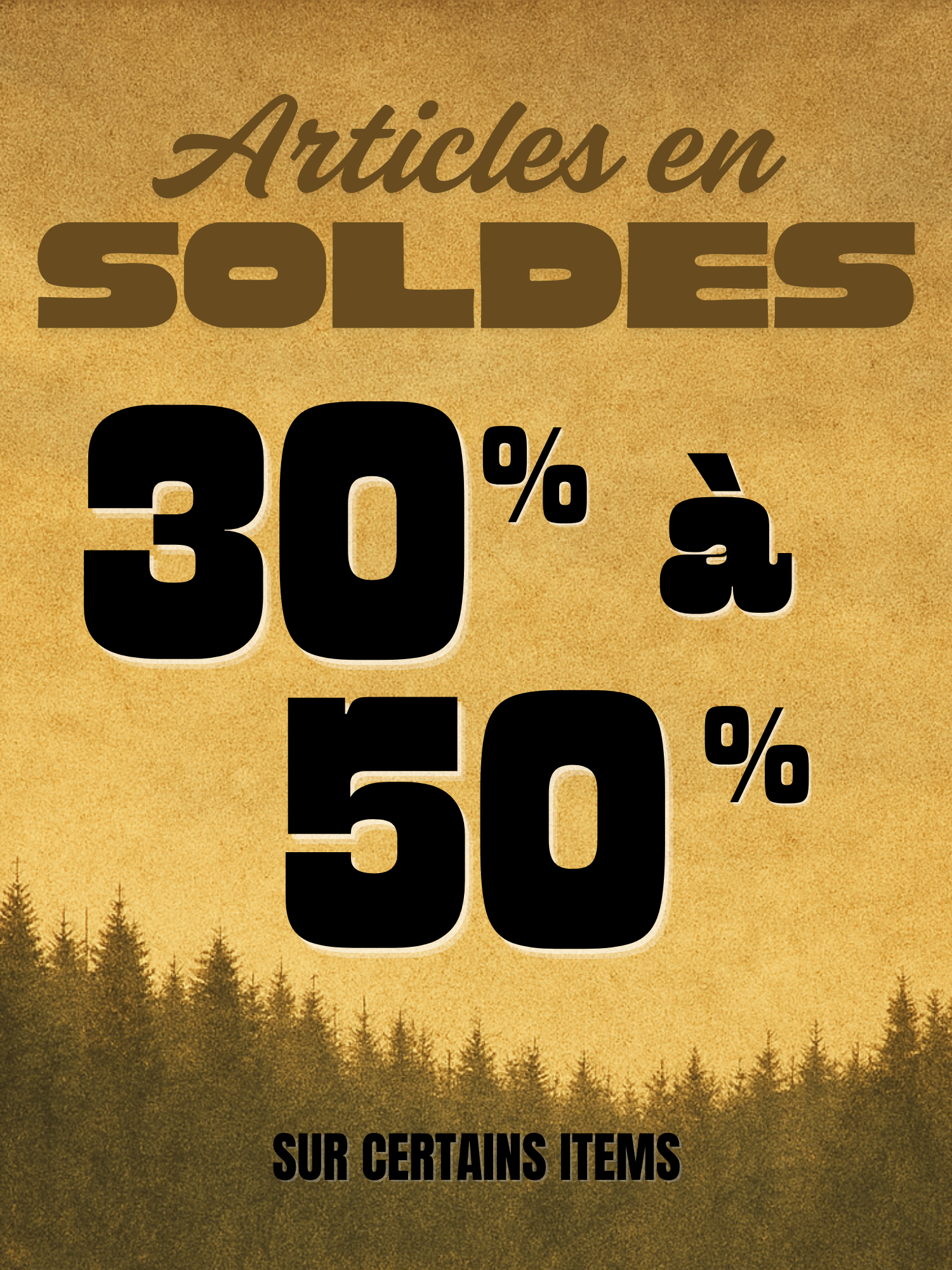 Articles en SOLDES